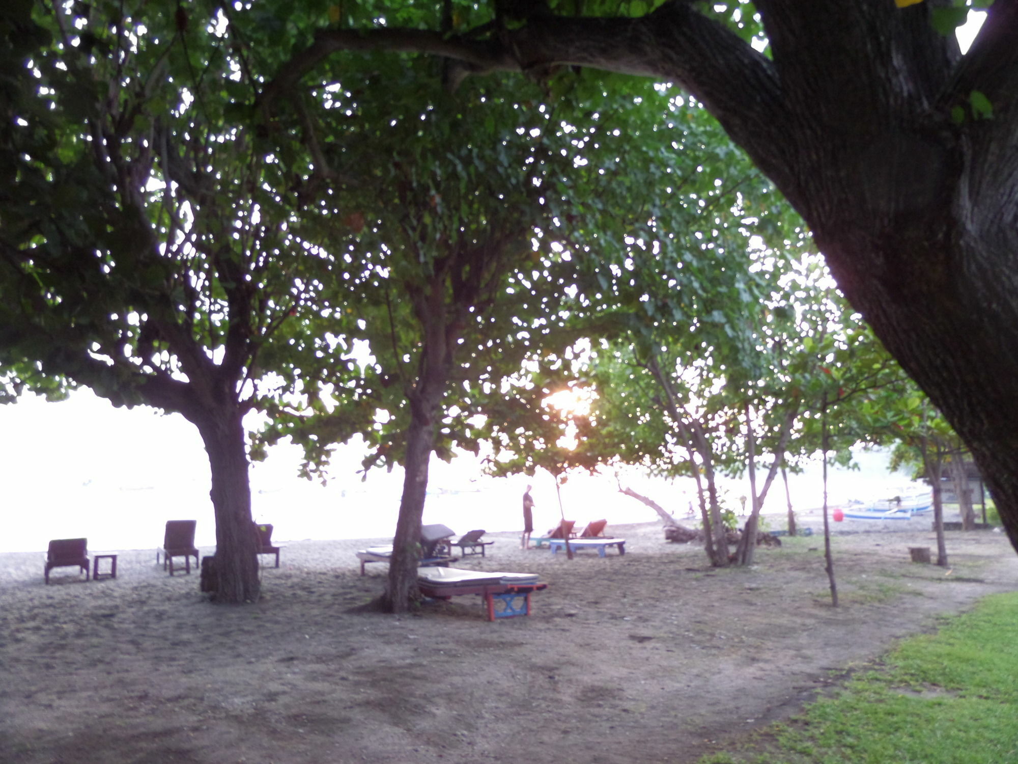 Taman Selini Wahana Beach Resort Pemuteran Zewnętrze zdjęcie