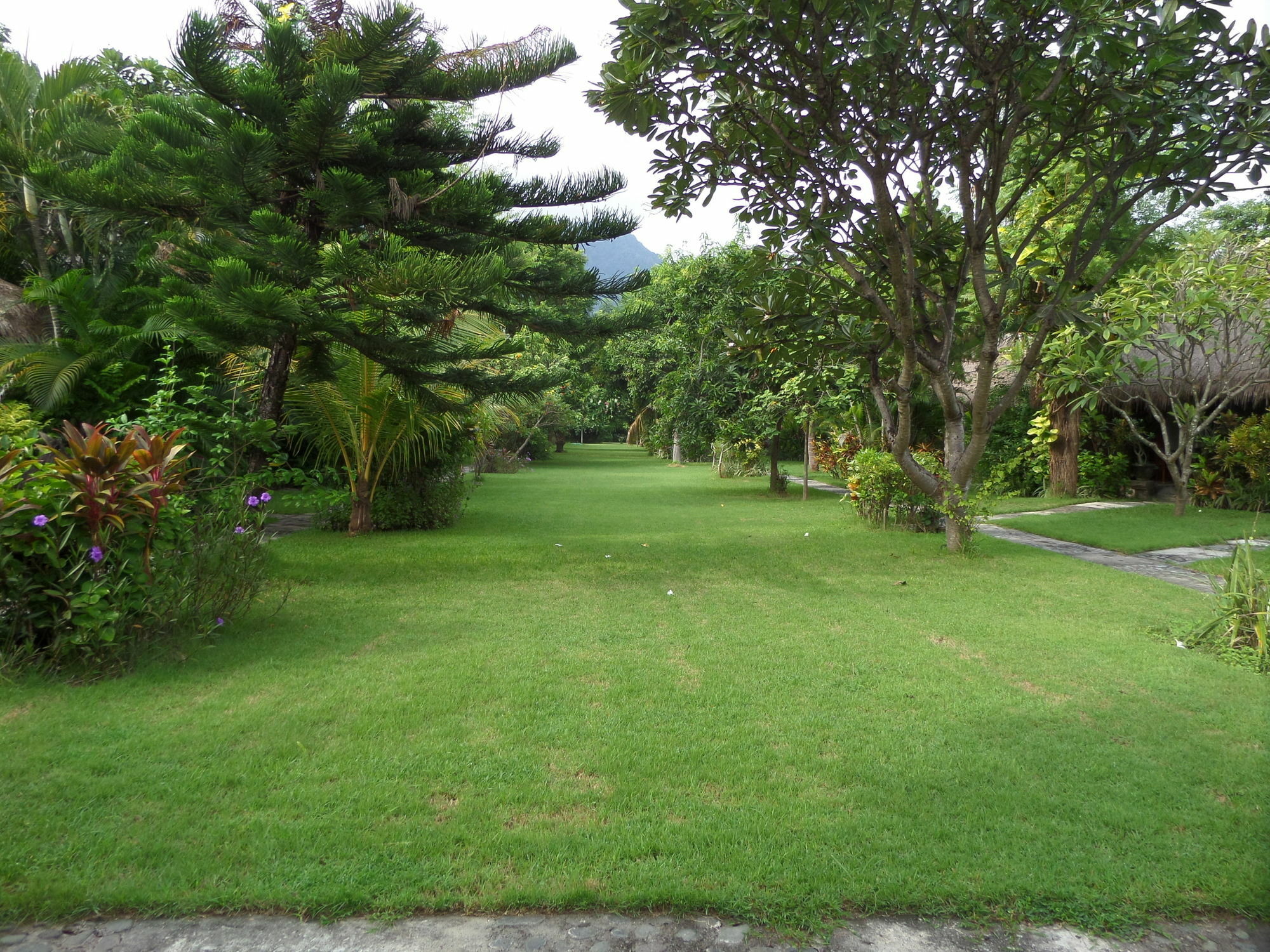Taman Selini Wahana Beach Resort Pemuteran Zewnętrze zdjęcie
