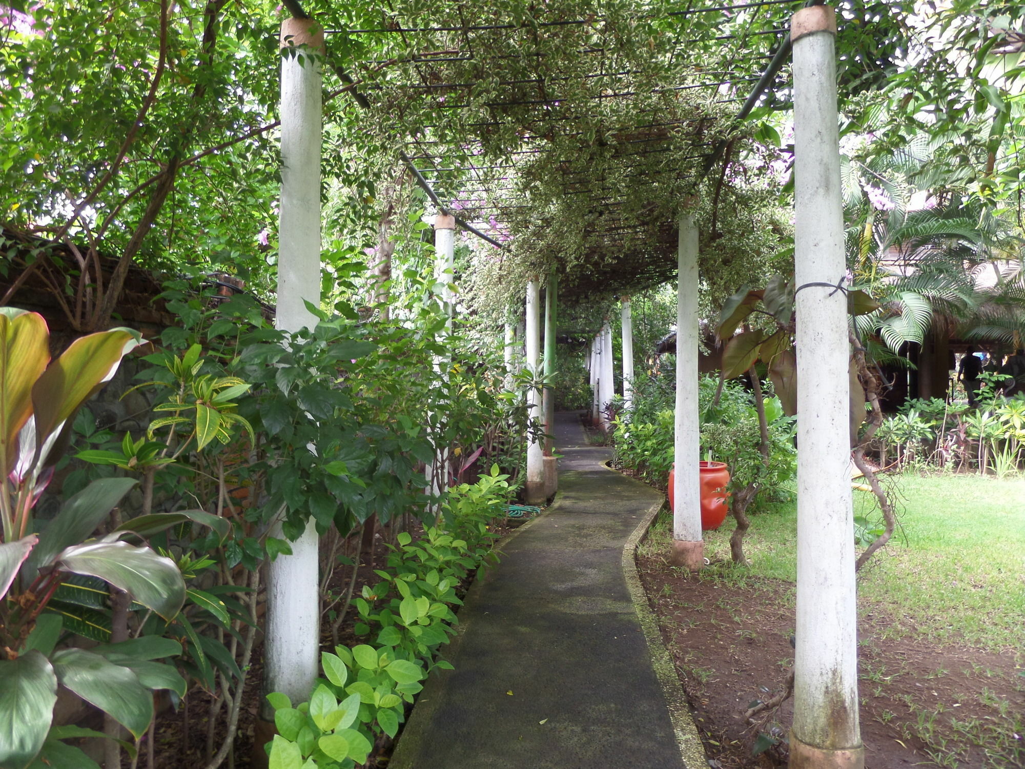 Taman Selini Wahana Beach Resort Pemuteran Zewnętrze zdjęcie