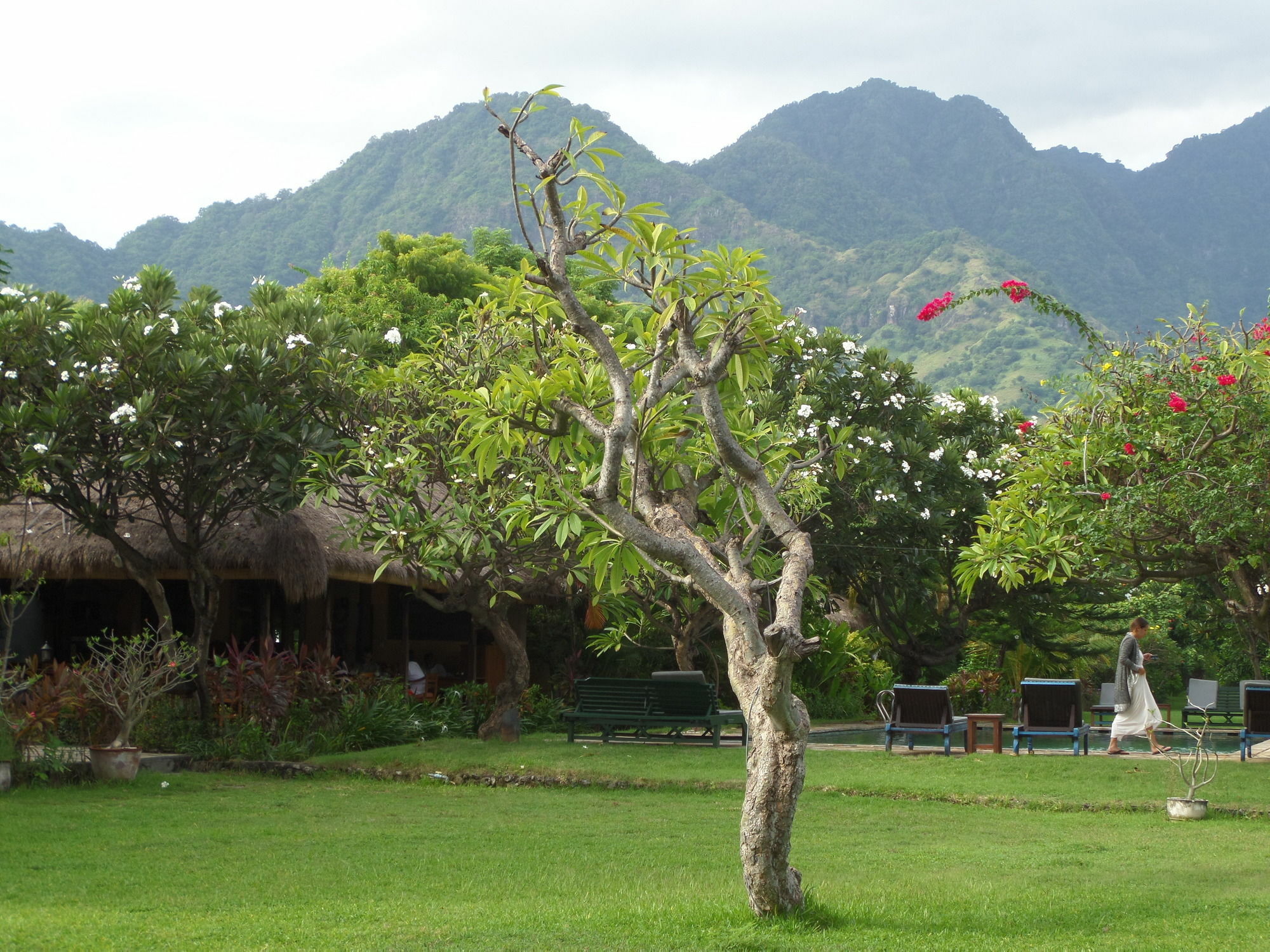 Taman Selini Wahana Beach Resort Pemuteran Zewnętrze zdjęcie