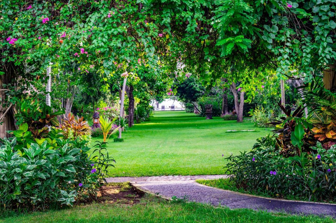 Taman Selini Wahana Beach Resort Pemuteran Zewnętrze zdjęcie